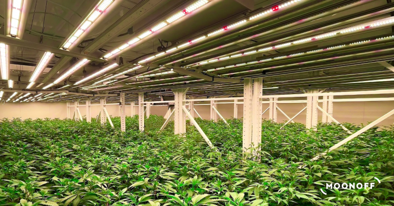Grow Series